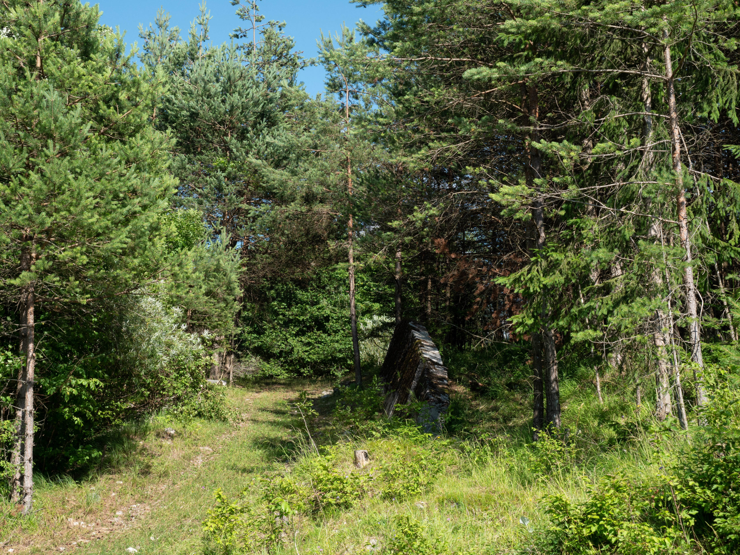 Resti del muro della strada che percorreva il Toc