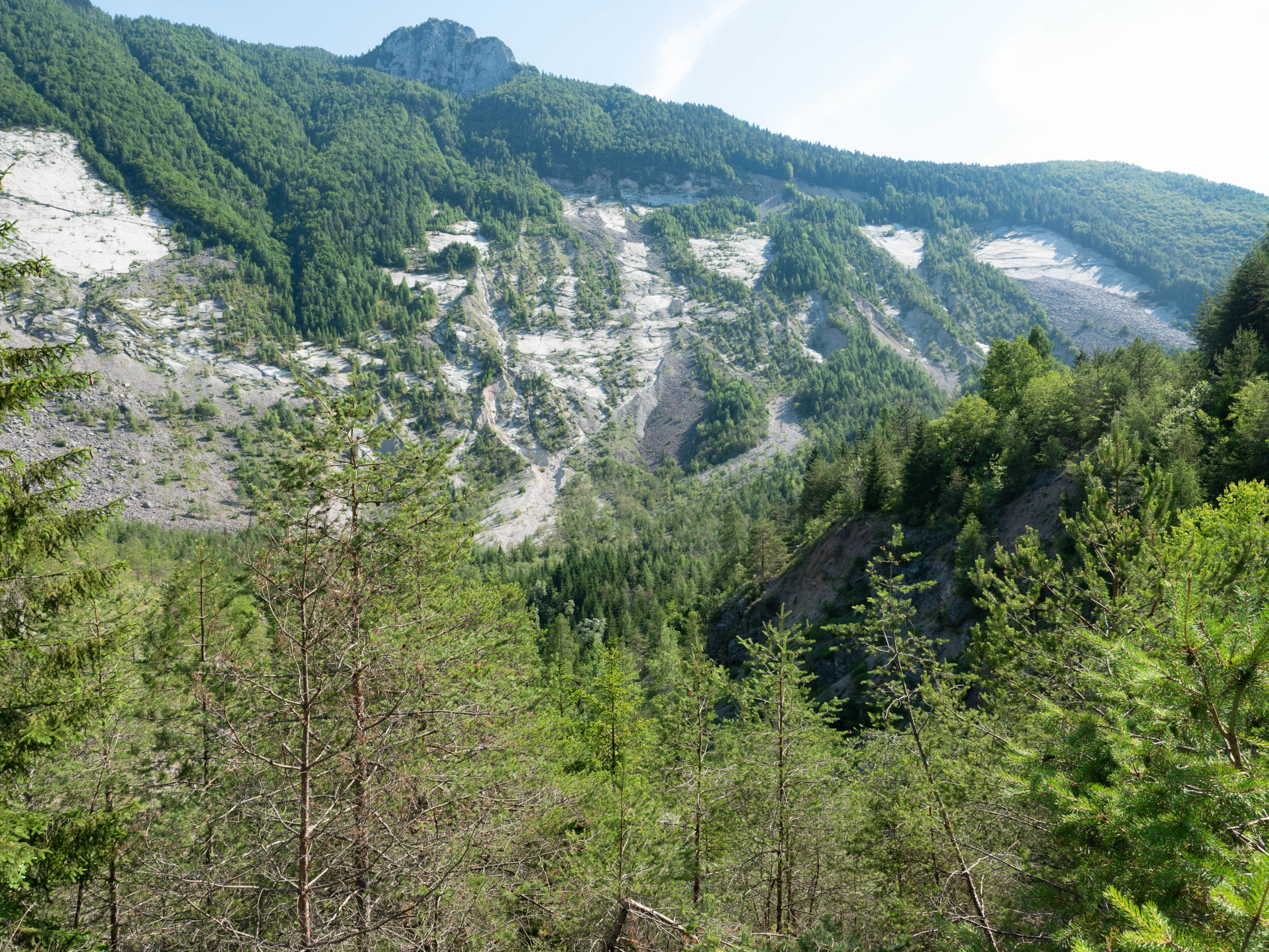Piano di scivolamento della frana del Toc