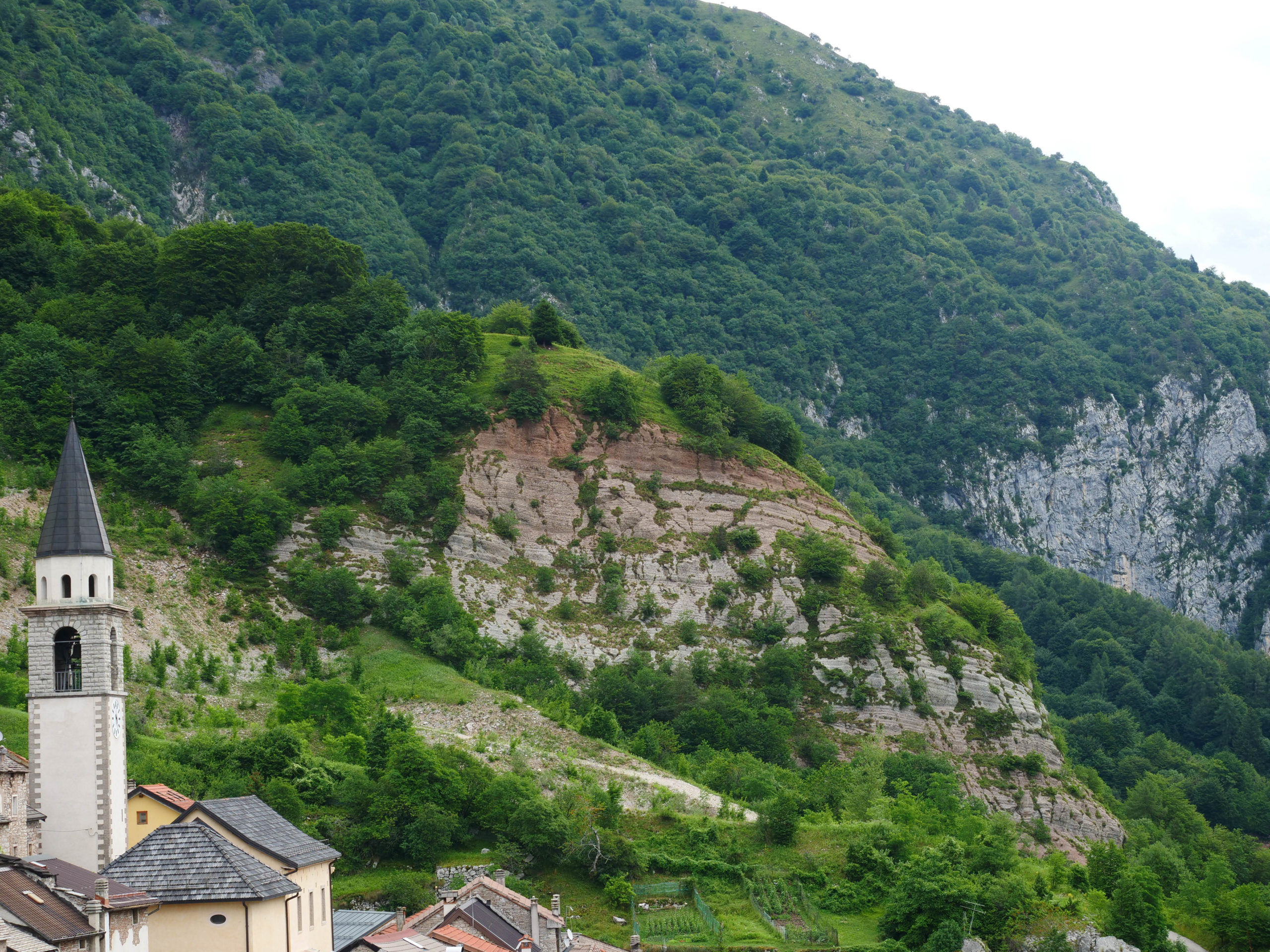 Dettaglio di Conteona