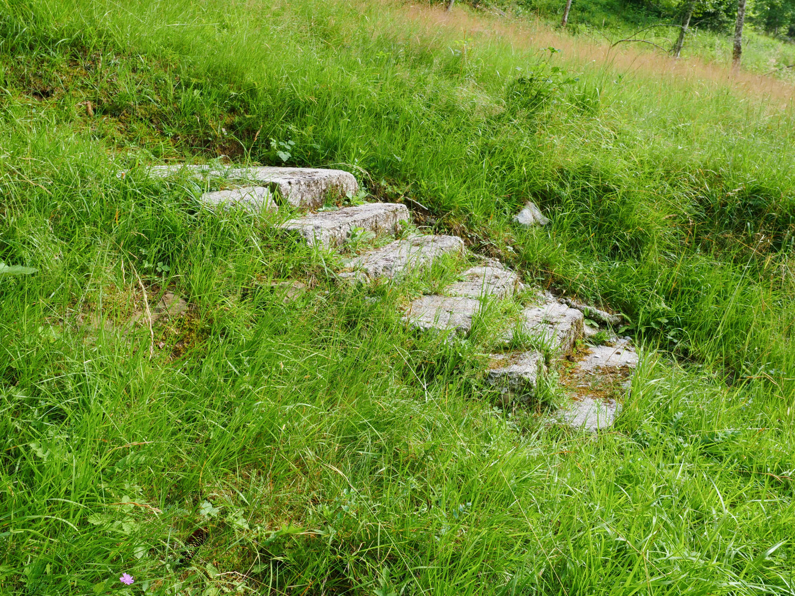 Ceva - Macerie di Abitazioni