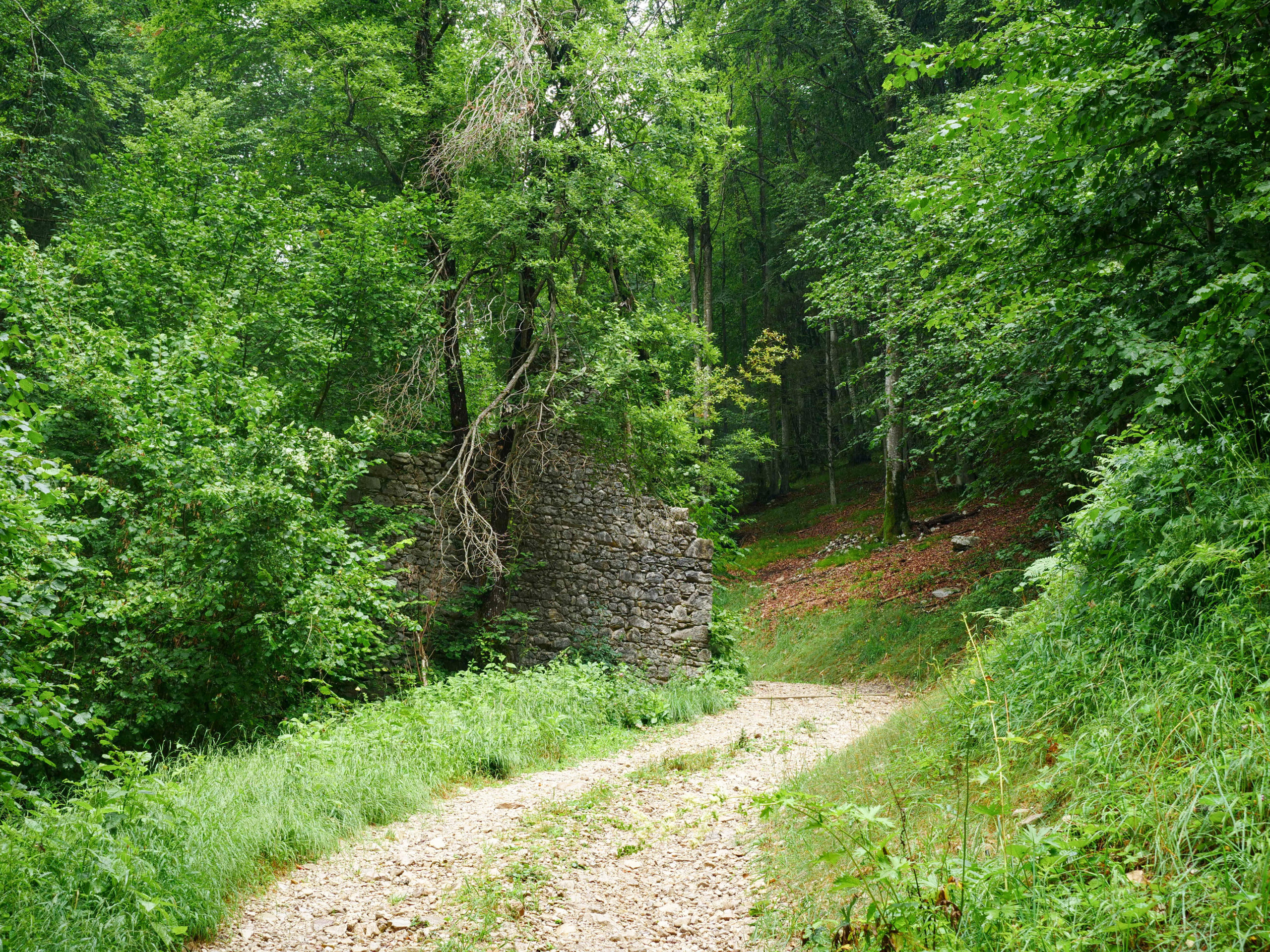 Sentiero sul Col di Cuore