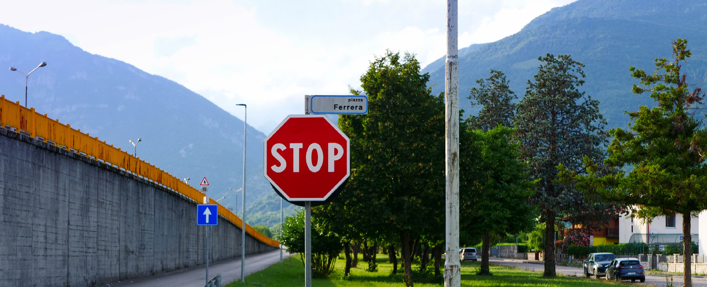 VDM_Foto_Tagliate-14