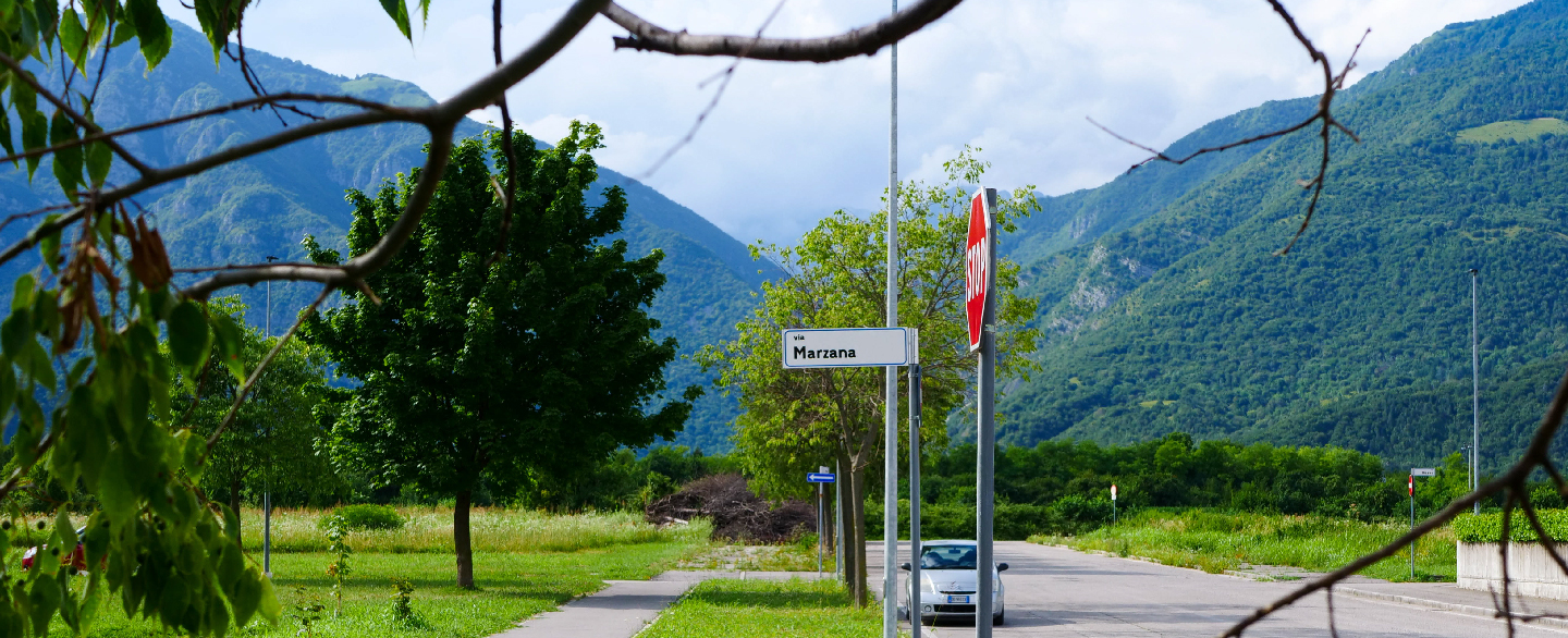 VDM_Foto_Tagliate-21