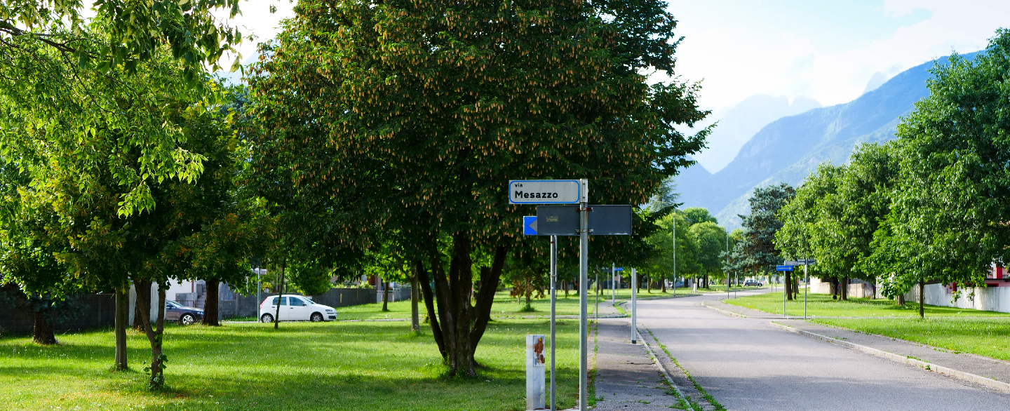 VDM_Foto_Tagliate-23