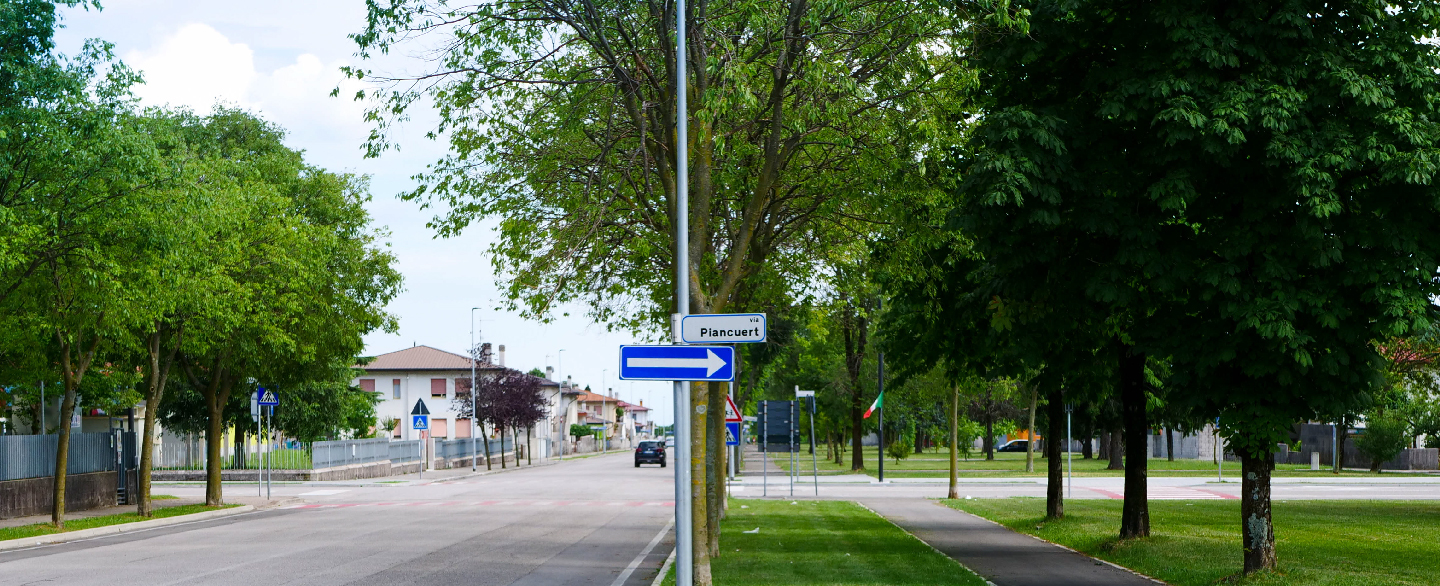 VDM_Foto_Tagliate-37