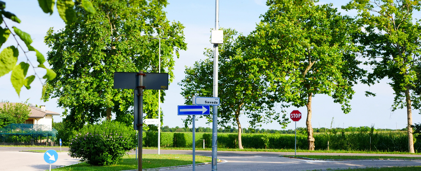 VDM_Foto_Tagliate-48