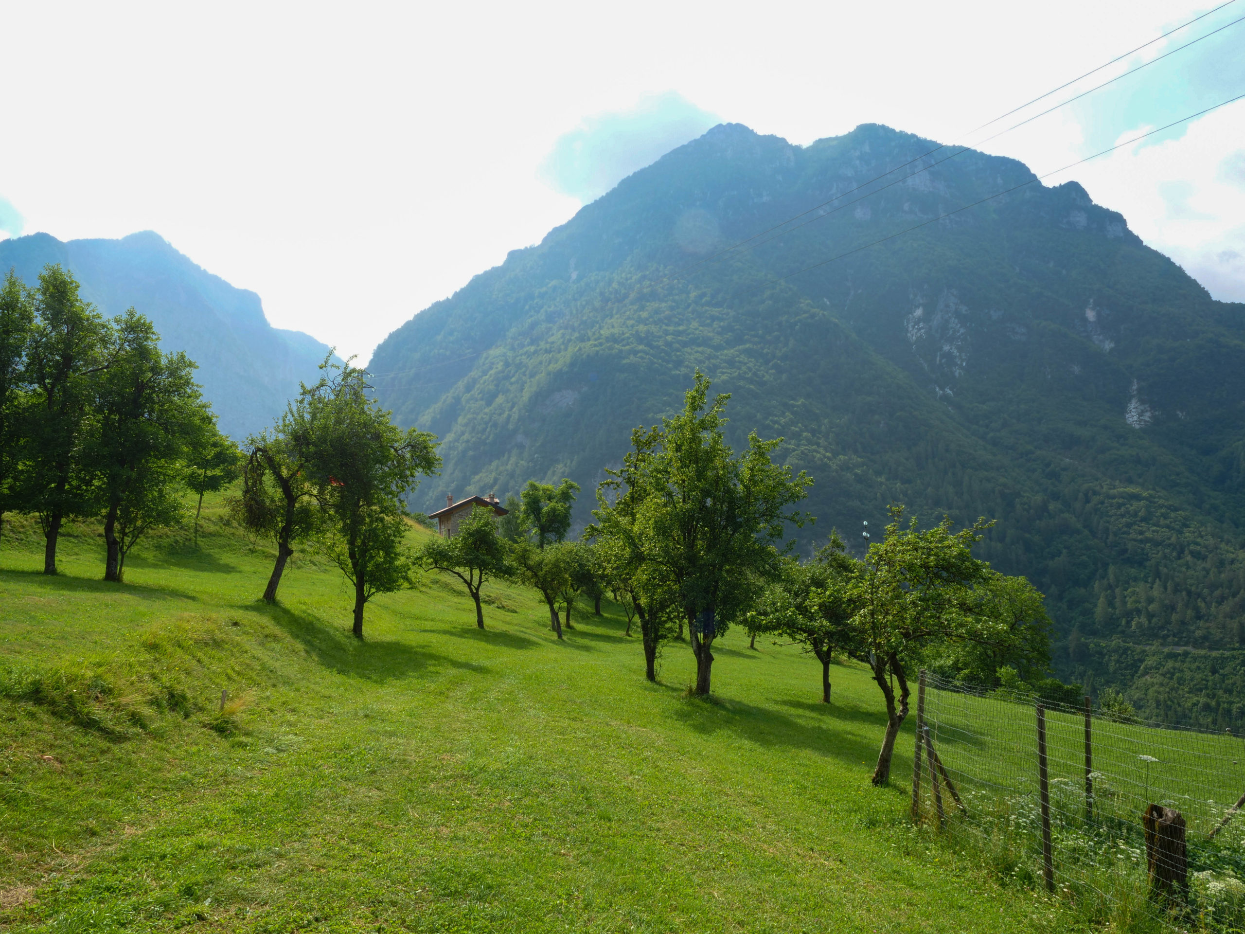 Prati di San Martino